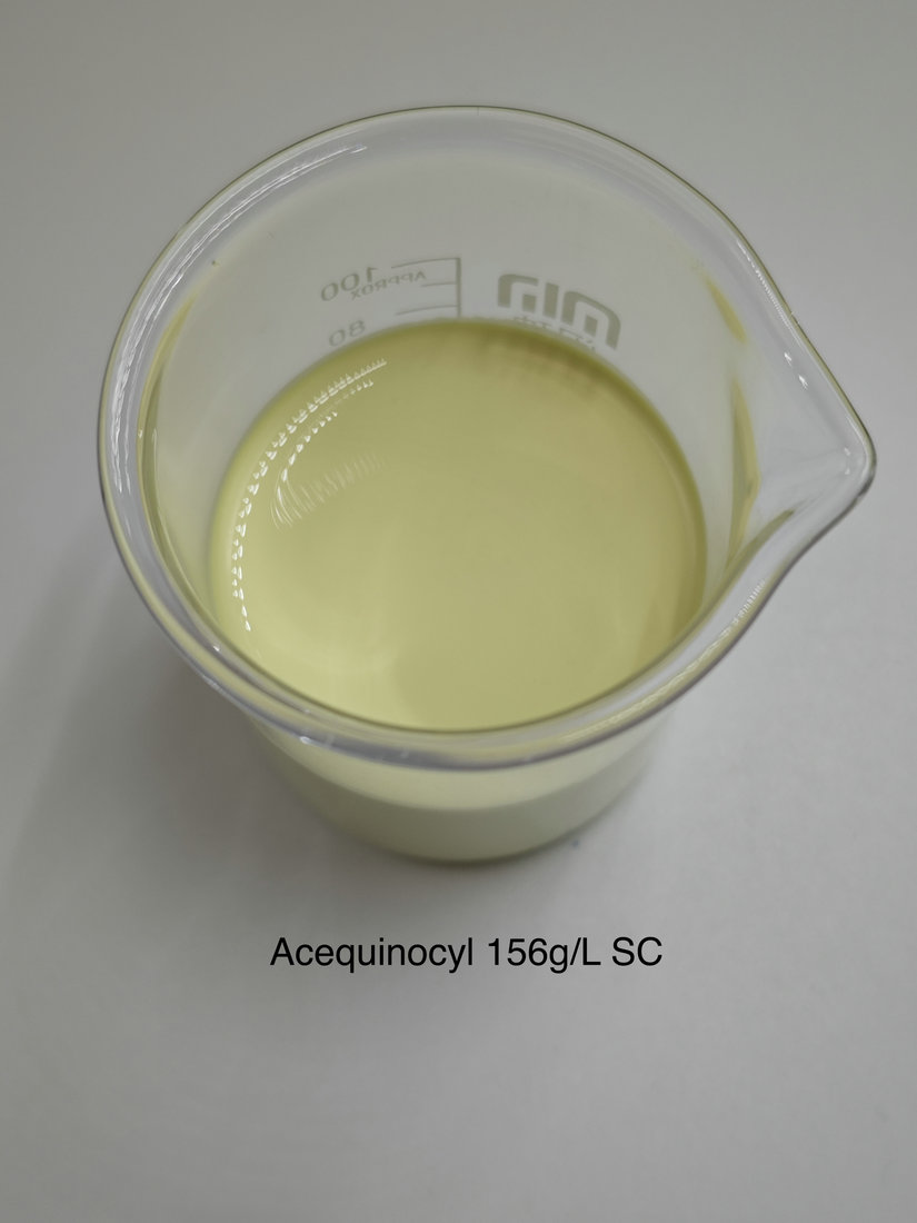 Acequinocyl 156g/L SC